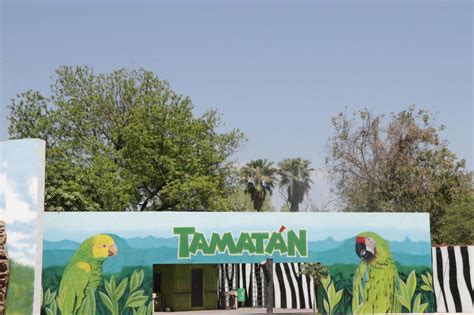 Ciudad Victoria Realizan Mantenimiento Al Zoológico De Tamatán Grupo