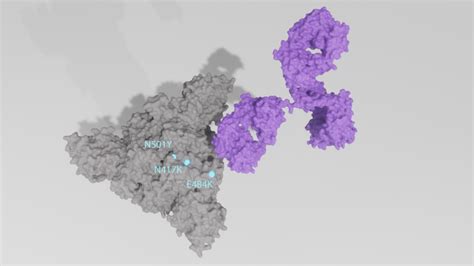 Making Sense Of The Sars Cov Spike Mutations The Native Antigen Company
