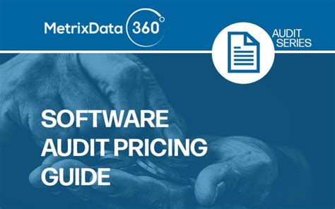 How Much Does Hiring A Software Audit Consultant Cost Metrixdata 360