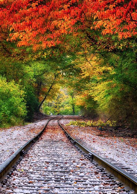 Fall Track Is A Photograph By Brian Hollars This Is A Fall Image Along Indiana Railroad Tracks