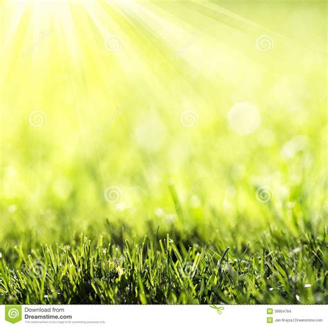 Grass With Green Bokeh Stock Photo Image Of Beautiful 39904784