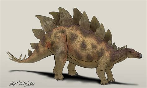 Jurassic World Camp Cretaceous Stegosaurus V3 By Nikorex On Deviantart