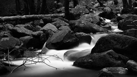 Black And White Best Nature Wallpapers Wallpaper Cave
