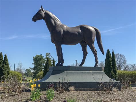 Bourbon Horses And Hot Brown 24 Hours In Lexington