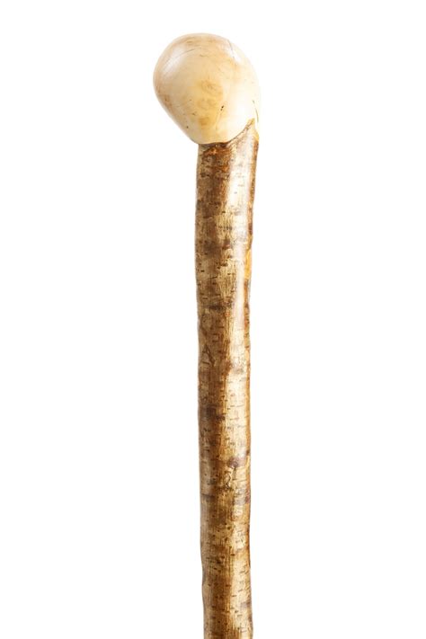 Hazel Coppice Knob Handled Walking Stick Stick Cane Shop
