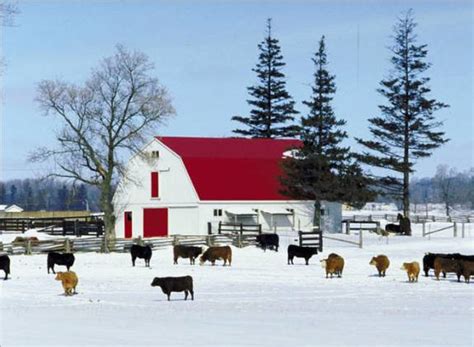 Winter Farm Wallpaper Wallpapersafari