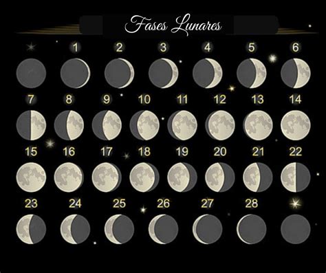 Fases Da Lua Fases Da Lua Calendario Das Luas Lua Images