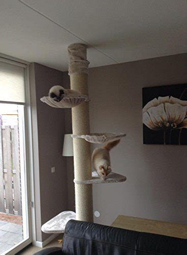 Cat trees and perches should be available and she needs adequate running room. Cat Tree Maine Coon Tower (Creme / White) | LOWEST PRICES ...