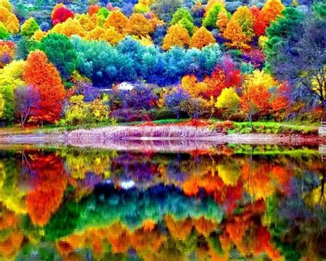 Pin By Dawn Radcliffe Lotharius On Yum Images Beautiful Autumn