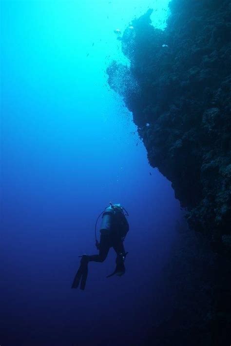 Master Scuba Trainer Reveals The Most Dangerous Dives In The World