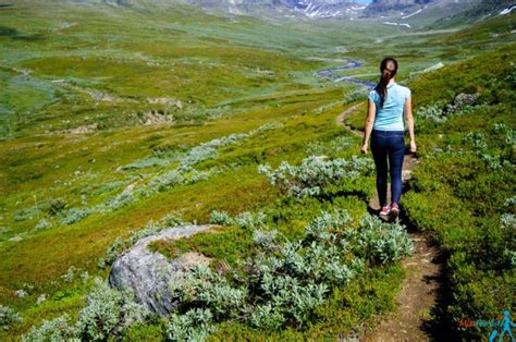 6 Incredible Reasons To Visit Swedish Lapland Asap