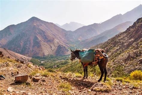 Guide To The 4 Best Hikes In The Atlas Mountains Morocco Finding Beyond