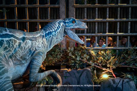 KÖln Jurassic World The Exhibition Erstmals In Deutschland Ab Dem 31032023 Im Odysseum Köln