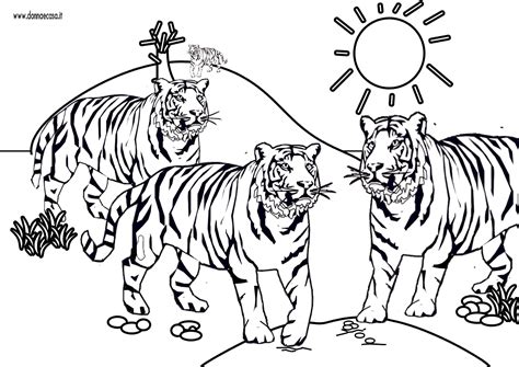Disegno Di Un Gruppo Di Tigri Da Colorare