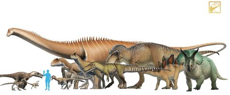 If You Ever Wonder Whod Win Between A T Rex Vs Allosauruscarnotaurs Look At This By Fred The