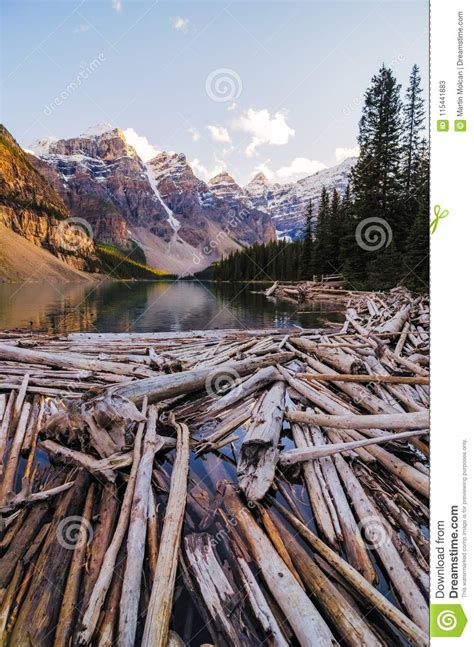 Landscape View Of Moraine Lake With Dead Trees In Canadian Rocky