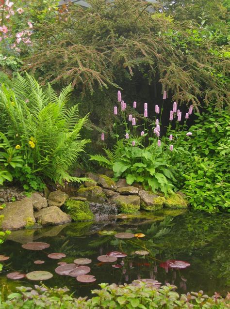 Planting Around A Pond Pond And Planting Design By Goose Green Design