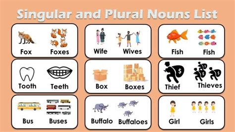 Singular And Plural Nouns List With Pictures Pdf Engdic