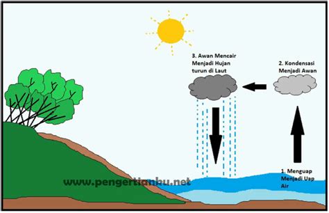 Siklus Hidrologi Dilengkapi Pengertian Komponen Macam Macam Dan