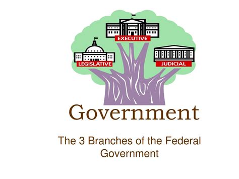 Ppt The 3 Branches Of The Federal Government Powerpoint Presentation