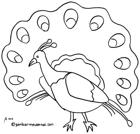 Gambar Mewarnai Binatang Sketsa Hewan Warna Burung Merak Sketsa