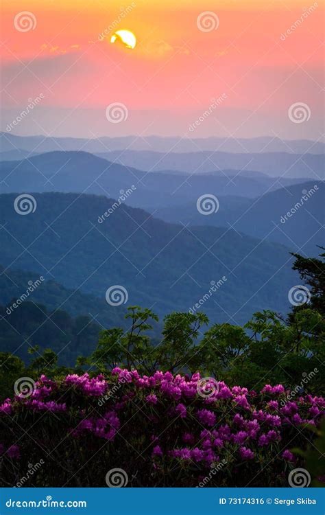 Roan Mountain Sunset Stock Photo Image Of Highlands 73174316