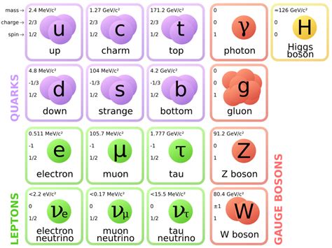 Filestandard Model Of Elementary Particlessvg What Even