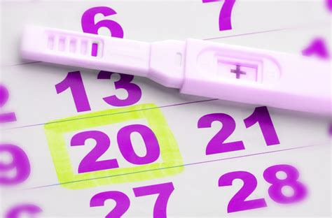 Ovulation Cycles And Why They Can Be Confusing Parents