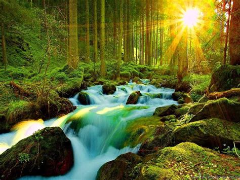 Most Beautiful Nature Wallpapers For Desktop All New Wallpaper