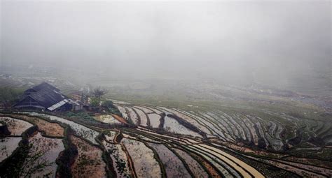 #Sapaterraces #Vietnamholiday: Early dew on terraced fields in Sapa in ...
