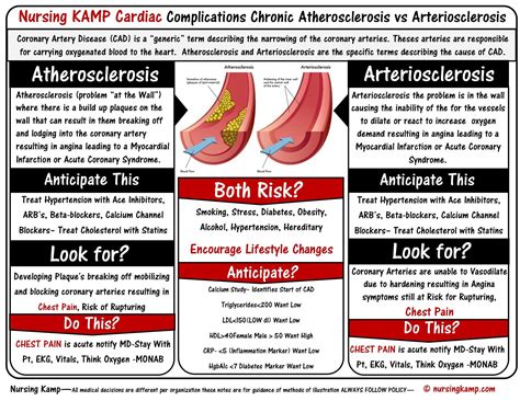 Atherosclerosis And Arteriosclerosis Difference