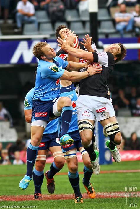 See more ideas about memes, shark week memes, funny memes. ABSA Currie Cup Premier Division Review - Semi-finals | 15 ...