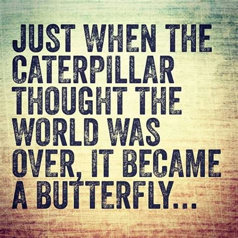 Caterpillar To Butterfly Quotes Quotesgram