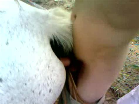 Horny Guy Enjoys Fucking His Horse While Alone On A Field Xxx Femefun