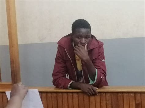 eldoret man jailed for ‘defiling a cow nairobi news