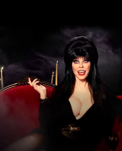 watch elvira s 40th anniversary very scary very special special online stream new full