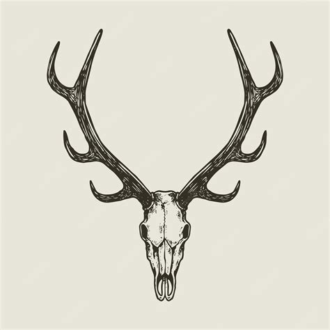 Premium Vector Deer Skull Hand Drawn Illustration Vintage