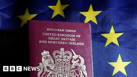 Eu Referendum Would Brexit Violate Uk Citizens Rights Bbc News