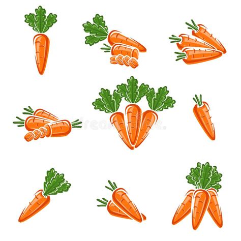 Carrot Set Vector Stock Vector Illustration Of Icon 112928859