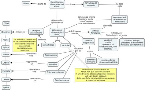 Tassonomia Viventifranc Come Funziona Limpresa Di Classificare