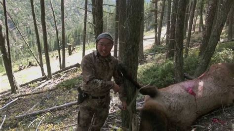 New World Record Bull Elk Taken 2013 Youtube