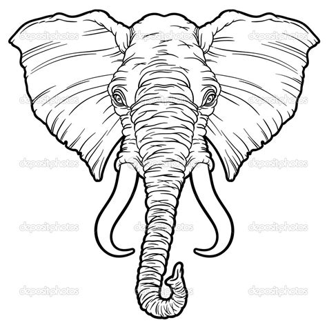 Elephant Head Outline Free Download On Clipartmag