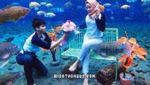 Badrawati, borobudur, magelang, jawa tengah 56553 indonesia. Umbul Ponggok: Lokasi, Snorkeling & Tiket Masuk