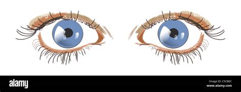Ojo Rebus Dibujos Animados Simples Grandes Ojos Azule