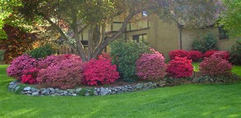 5500 azaleas can't be wrong: Shade Loving Flowers to Plant in Your Yard | Today's Homeowner