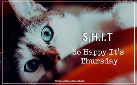 Pin On Happy Thursday Quotes