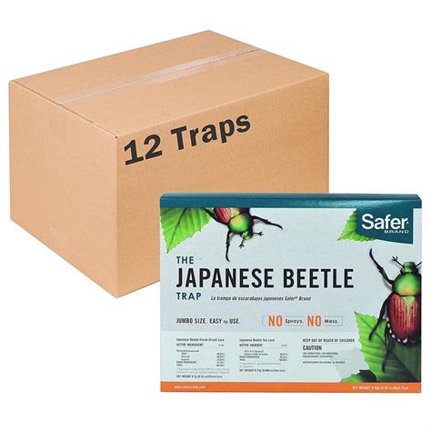 The Best Japanese Beetle Traps In 2020 Which To Choose