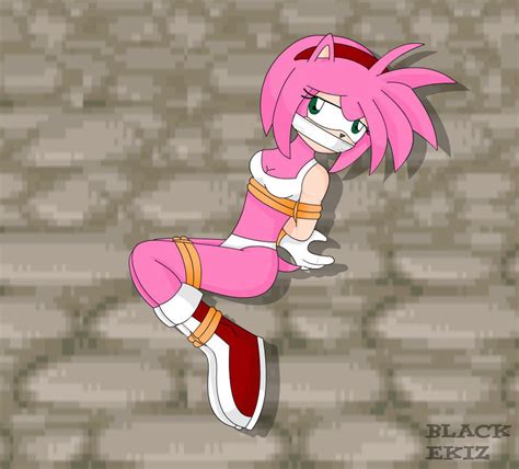 Amy Rose Underwear By Blackekiz On Deviantart