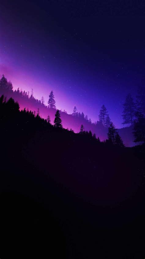Night Forest Wallpaper Iphone Wallpapers
