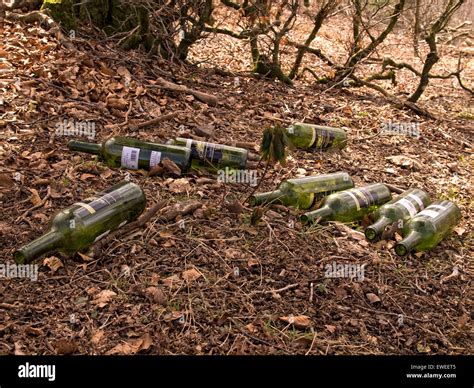 Glass Bottles Lying On The Ground On Forest Stock Photo Alamy